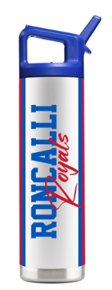 Gametime Sidekicks Stainless Steel Insulated Water Bottle